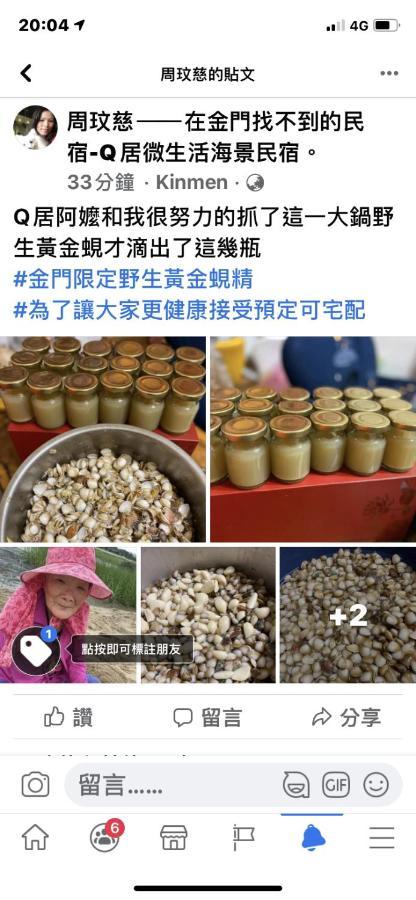 Qg Life 城中館 寵物親子釣魚人民宿 Jincheng Bagian luar foto