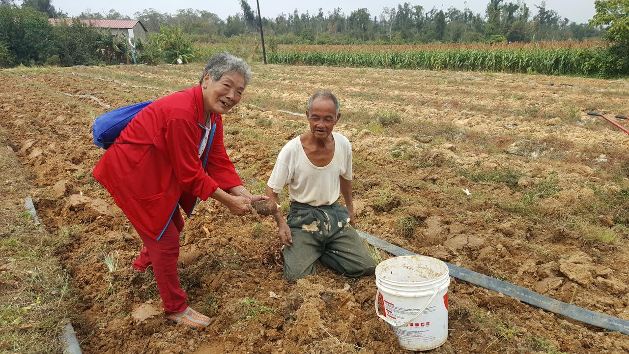 Qg Life 城中館 寵物親子釣魚人民宿 Jincheng Bagian luar foto