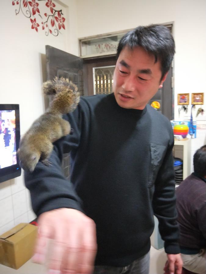 Qg Life 城中館 寵物親子釣魚人民宿 Jincheng Bagian luar foto